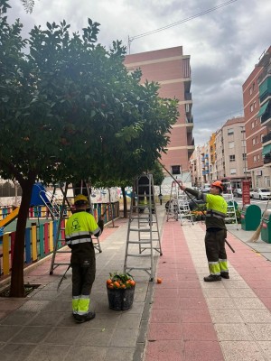 El fuerte temporal de viento deja su huella en Murcia con sesenta incidencias en todo el municipio
