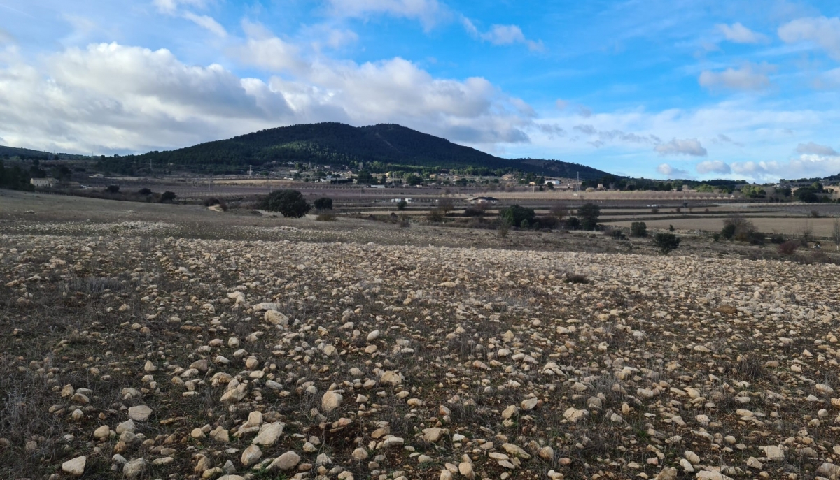 Agricultura 4.0 en Alcoy: proyectan una instalación agrovoltaica para cultivar vid en la zona de La Sarga