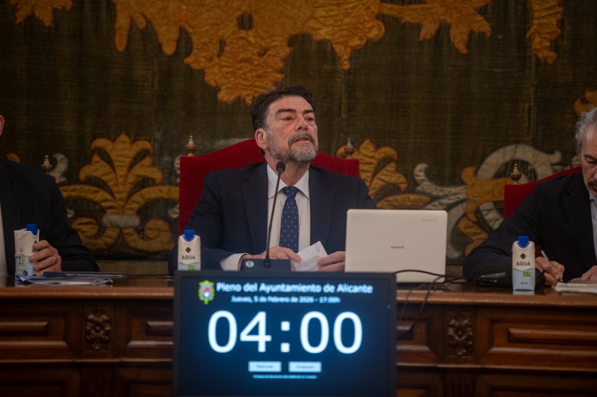 El alcalde de Alicante, Luis Barcala.