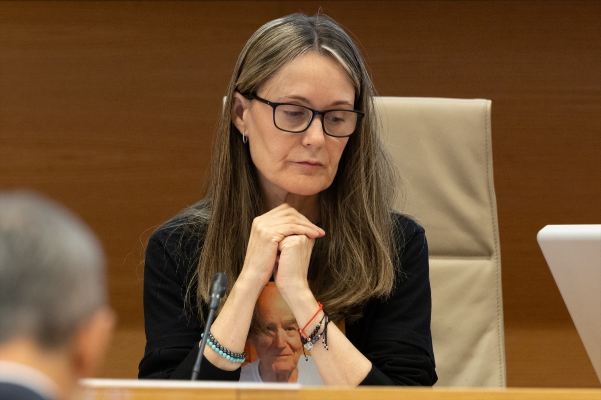 Las asociaciones de víctimas de la Dana comparecerán los días 23 y 24 de febrero en la comisión de Les Corts