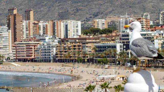 Benidorm destina otros 16.100 euros en ayudas para apoyar a nuevos autónomos y proyectos emprendedores