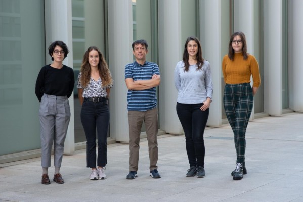 Un grupo de investigación del CIPF descubre una proteína clave en la reparación del cerebro tras un traumatismo