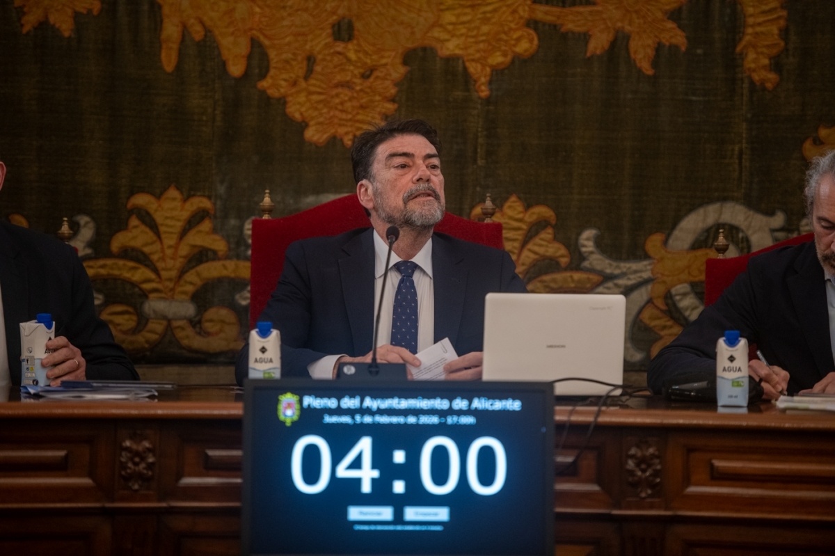 El alcalde de Alicante, Luis Barcala.