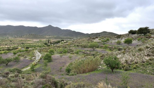 El patrimonio rural del Campo de Cartagena, a debate en el Casino