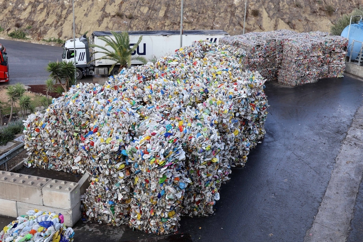 Ecologistas detectan 