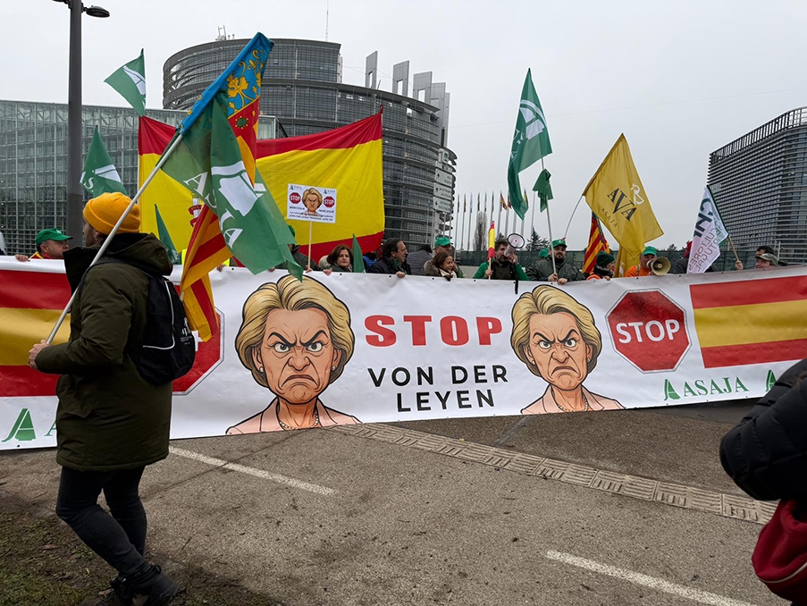 Mercosur: el Parlamento Europeo aprueba cláusulas de salvaguarda para la agricultura que no convencen al sector