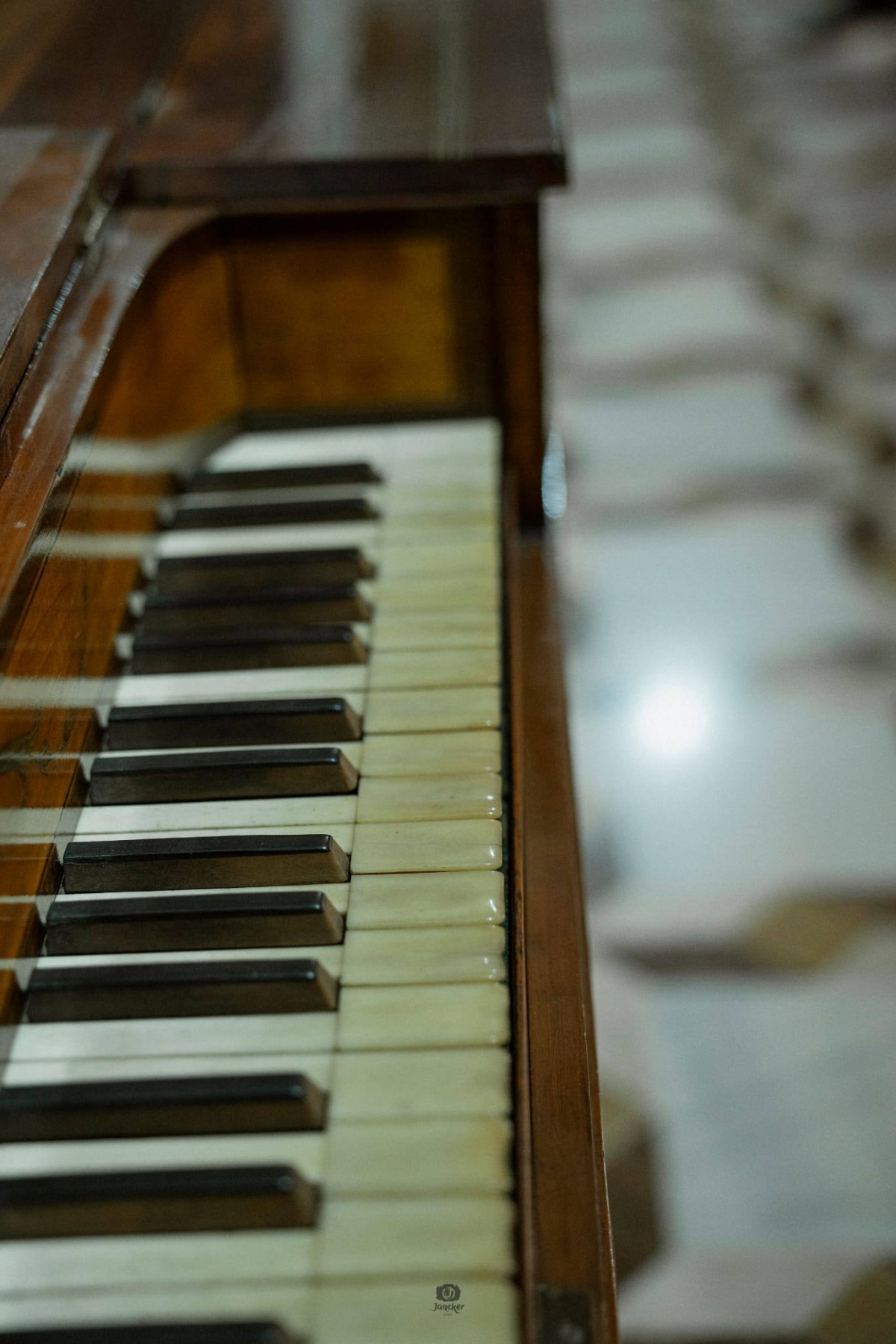  - Foto: AYTO. CEHEGÍN