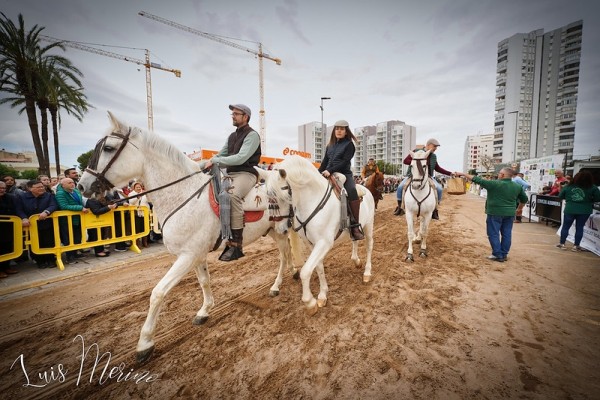 La playa de La Pobla de Farnals se prepara para el Sant Antoni más multitudinario de l'Horta Nord