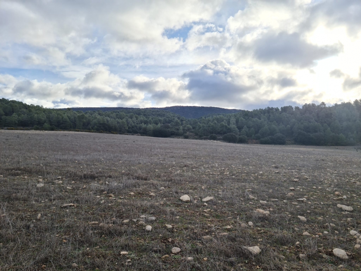 Preparan alegaciones a la agrovoltaica en Alcoy: denuncian problemas por la cercanía a Font Roja y La Sarga