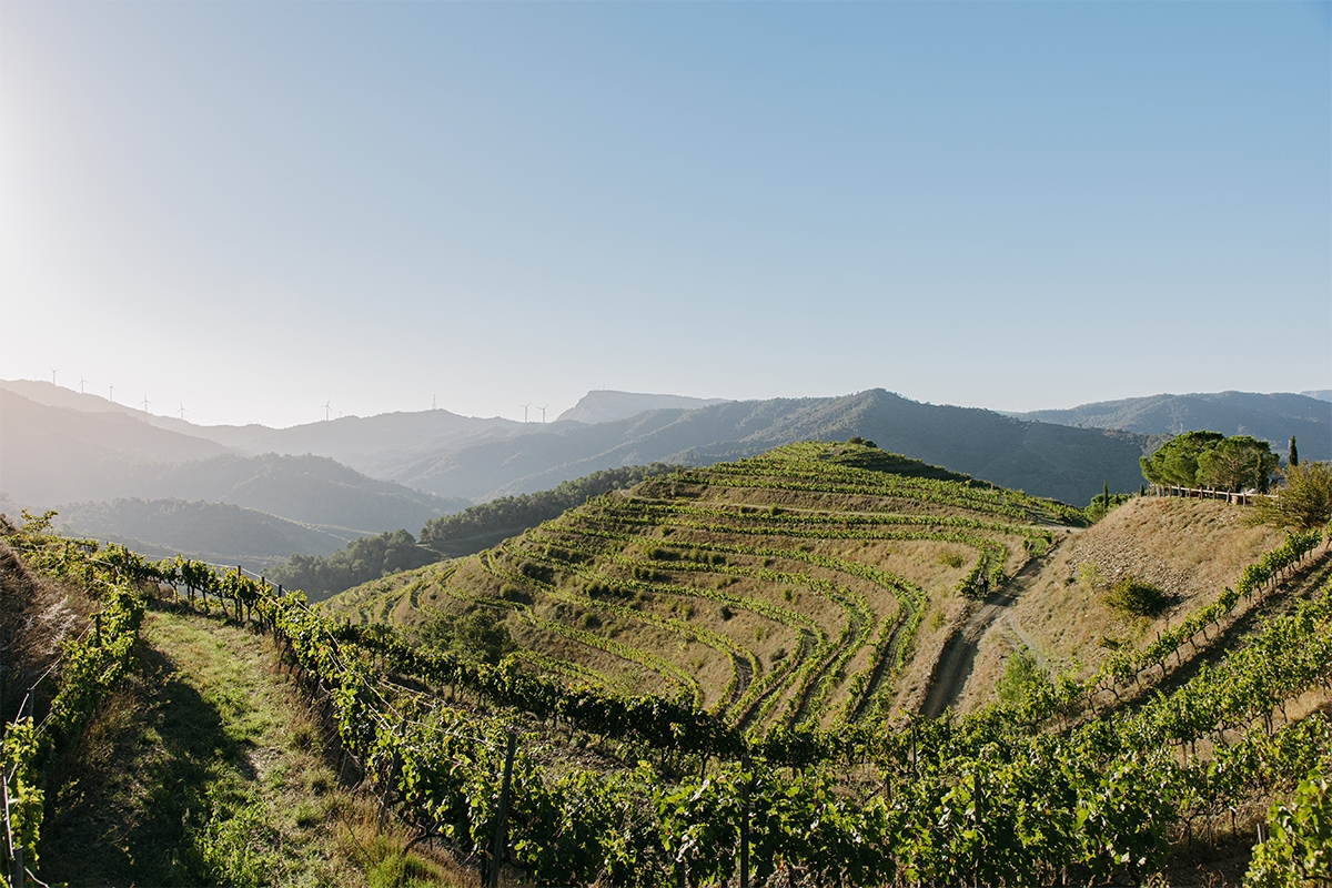 Salmos, el Priorat que encarna la filosofía de Familia Torres