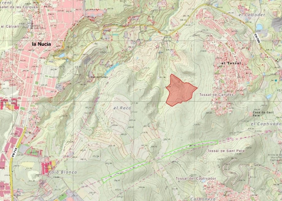 Medio Ambiente declara microrreserva de flora 4,37 hectáreas de la Serreta en La Nucía 
