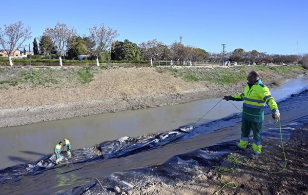 El Segura recupera su esencia en el Meandro del Vivillo para conectar la ciudad con las pedanías 