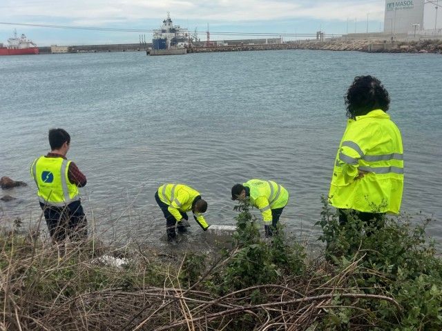 PortCastelló y la UPV desarrollan un hormigón innovador para mobiliario urbano resistente al entorno marino