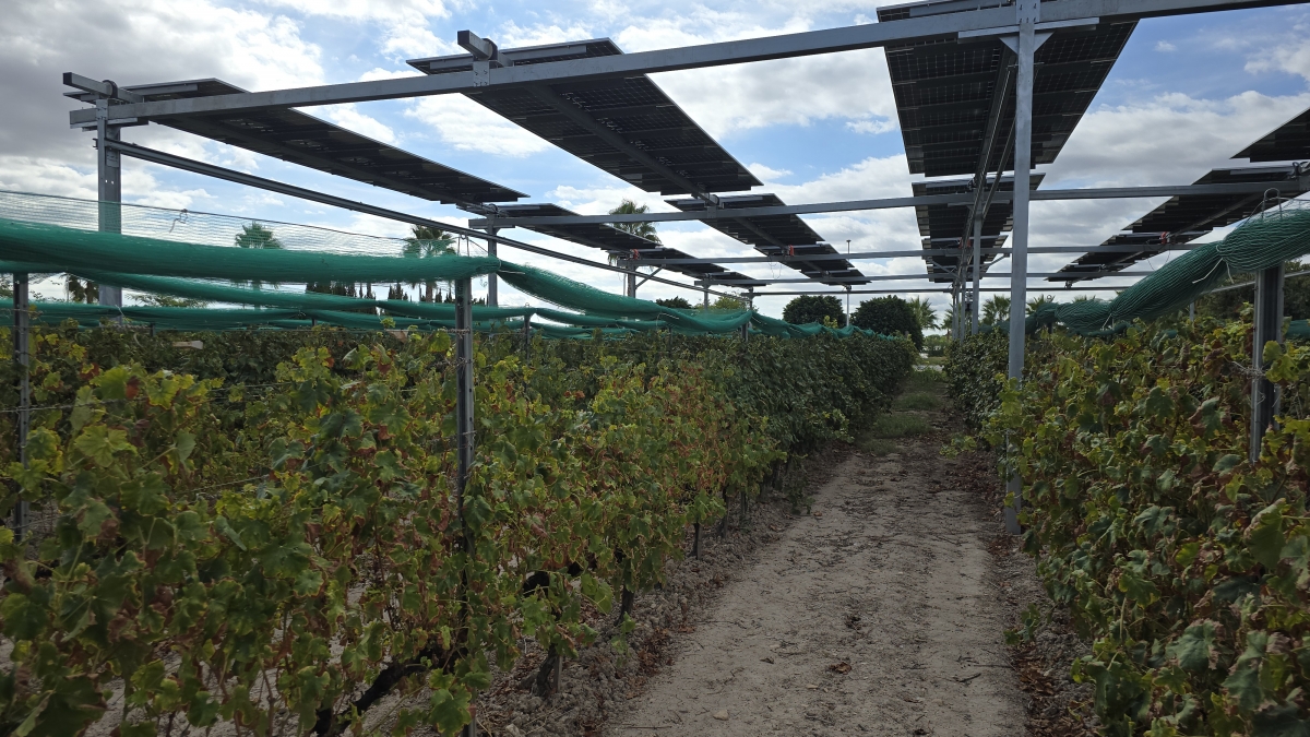 La tecnológica del proyecto agrovoltaico en Alcoy reitera: está fuera de suelo protegido y prima la agricultura