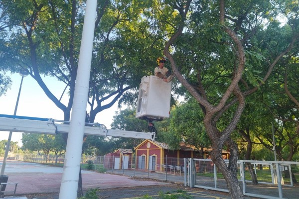 El campamento se 'maquilla' para Carthagineses y Romanos: podan y acondicionan el arbolado 