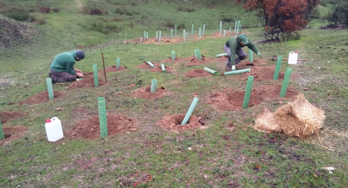 Fundación Hefame impulsa la recuperación de zonas naturales afectadas por los incendios de 2025