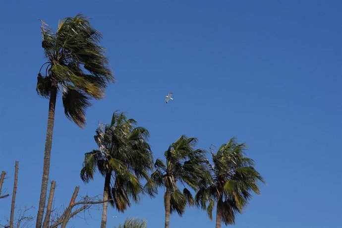La Región seguirá soplada por el viento este fin de semana: alerta naranja con rachas de 90 km/h