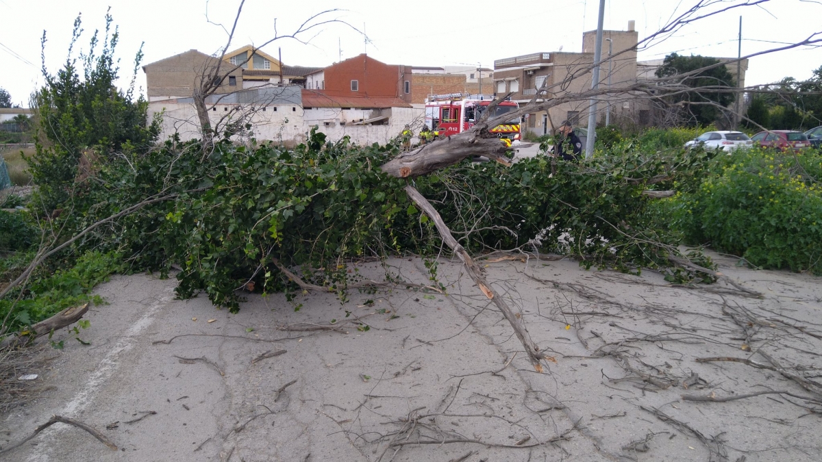 Cabezo de Torres suspende el carnaval infantil y Murcia cierra las pistas deportivas por el viento
