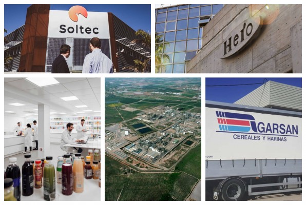 Predominio agrícola y proyección global: estas son las mayores empresas de los 45 municipios de la Región