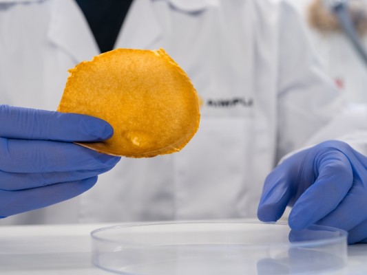 Ivace+i financia tecnologías para convertir residuos orgánicos en piel vegana para el textil