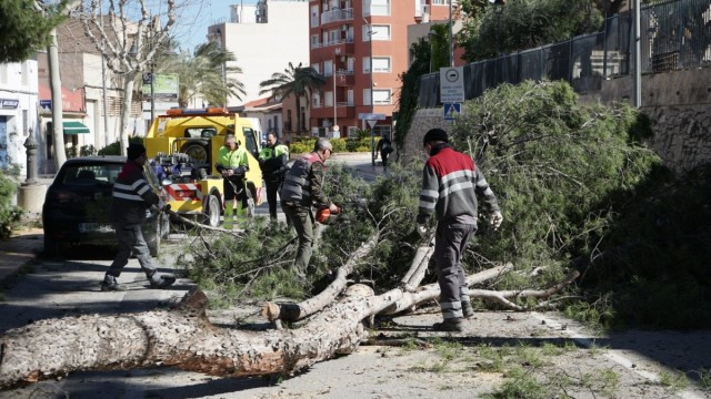 Los efectos del temporal: vientos de 131 km/h caída de árboles, corte en la A-33 y actos suspendidos