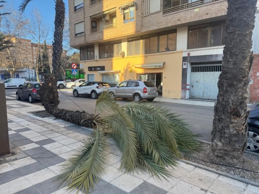 El viento se lleva árboles, placas solares, planchas metálicas y carteles en Castellón