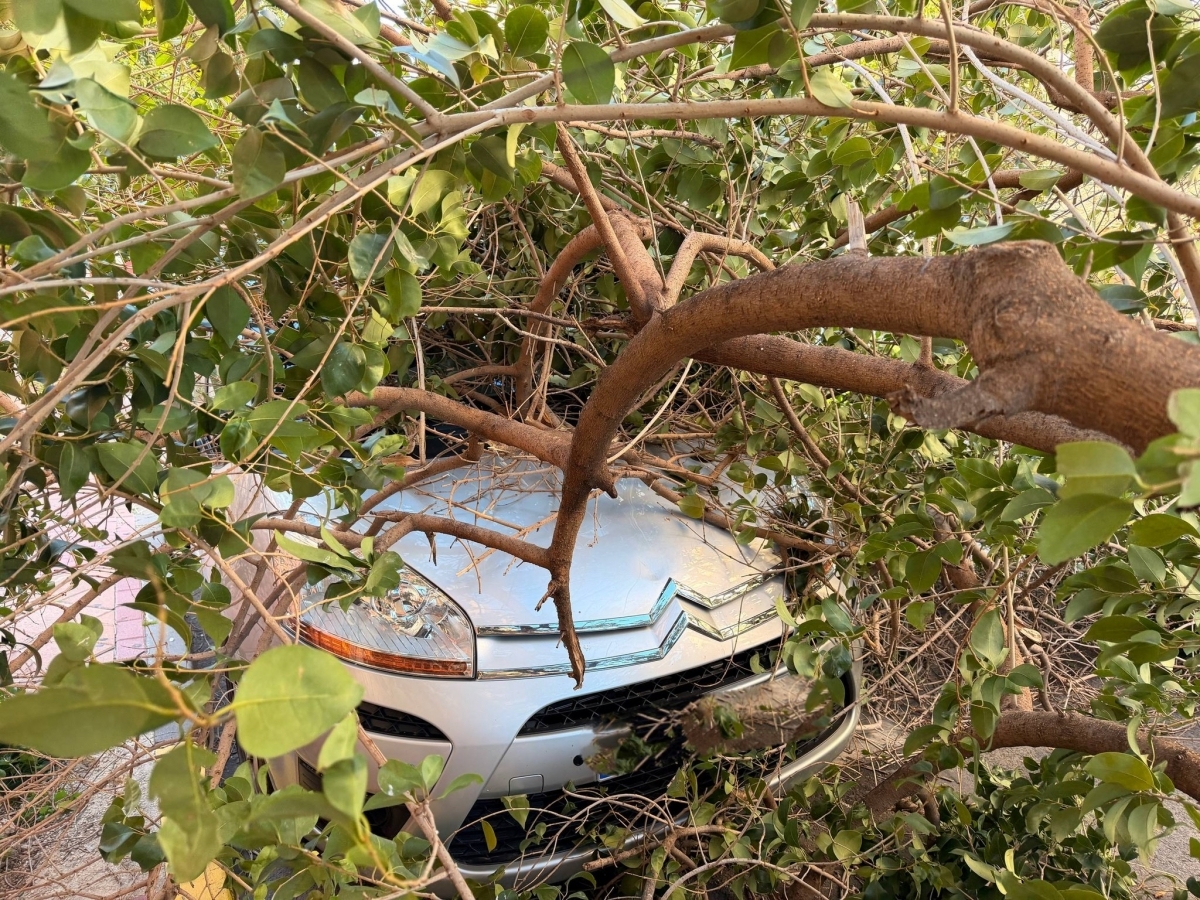 La Región de Murcia, por los aires: el 112 recibe más de 800 llamadas este sábado por incidentes causados por el viento y fenómenos costeros