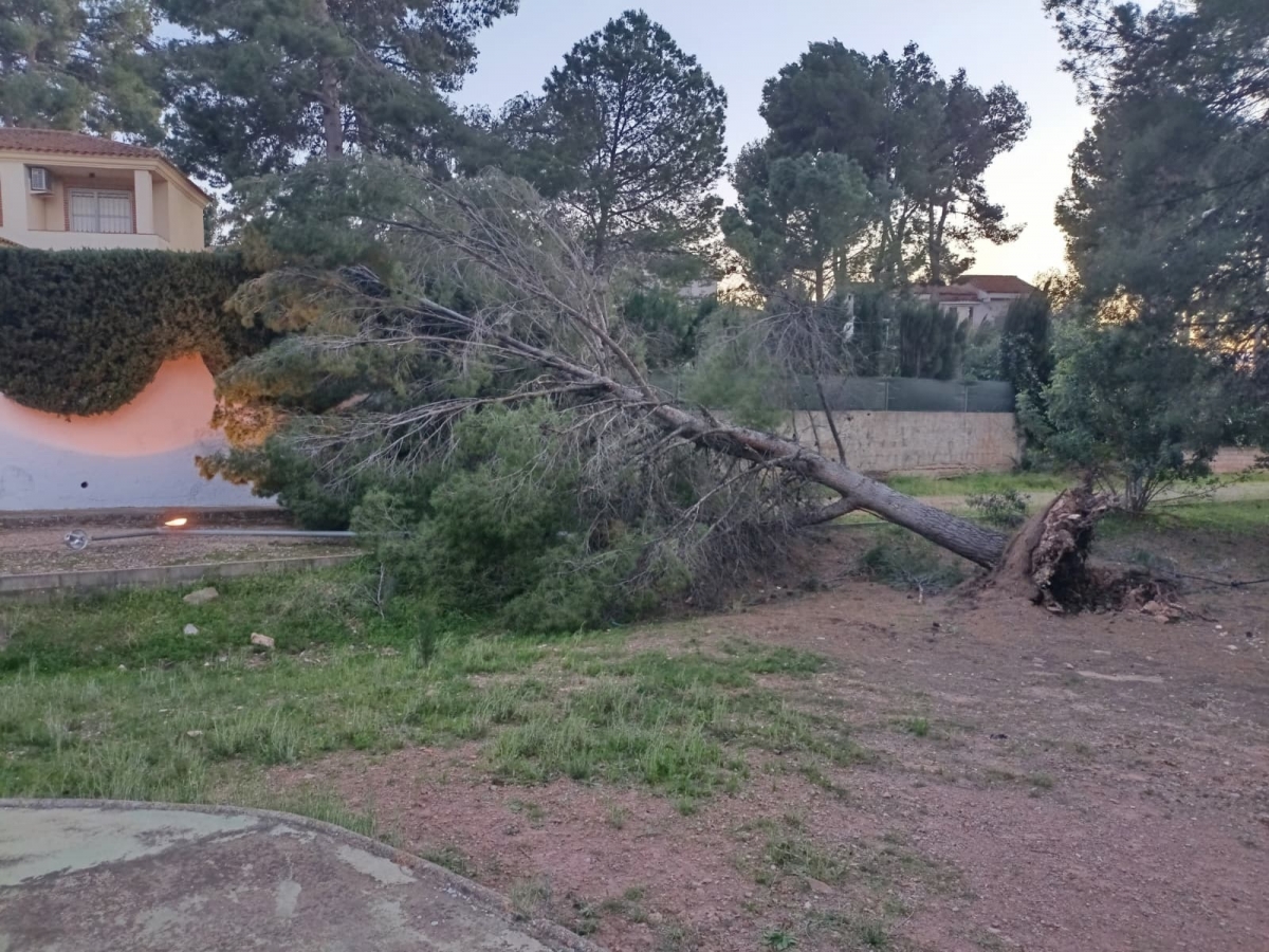 Finaliza la alerta roja por viento en Castellón y pasa a nivel amarillo en gran parte de la Comunitat Valenciana