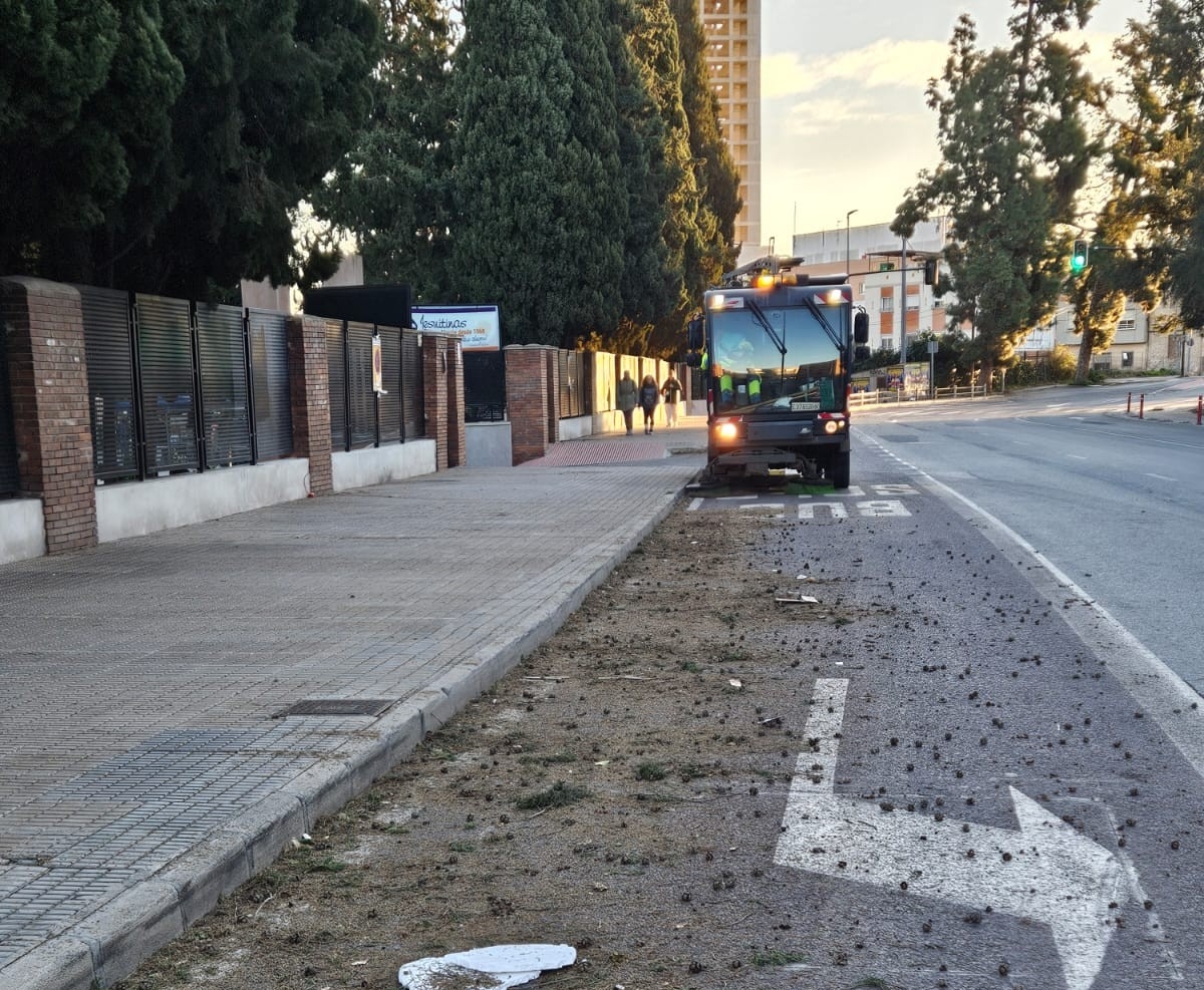  - Foto: AYTO. MURCIA