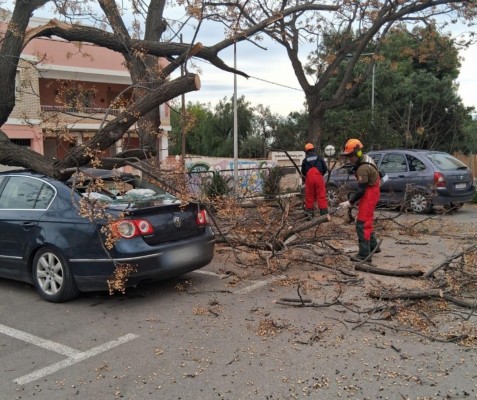 Bomberos continúan con los servicios por el viento este domingo: ramas y árboles caídos o placas desprendidas