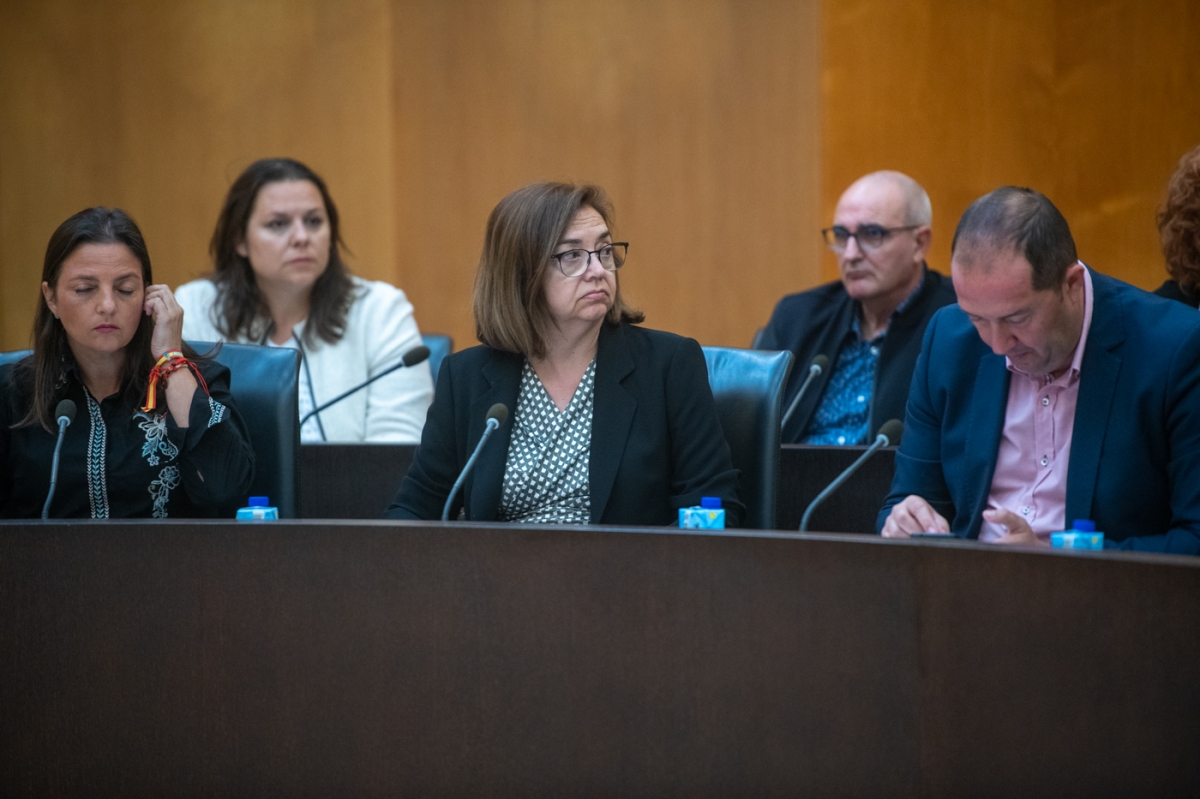 Fallece Mari Luz Navarro, concejal socialista del Ayuntamiento de Benidorm