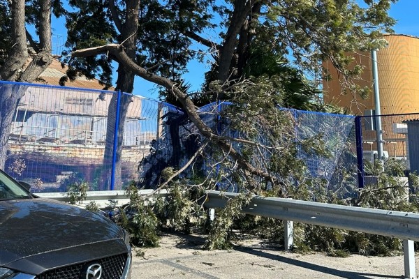 PortCastelló registra más de una treintena de incidencias el fin de semana por el temporal de viento