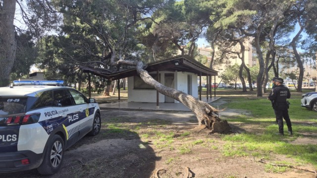 Castelló continúa con las labores tras el paso del temporal: Policía, Bomberos y Brigadas registran 700 servicios