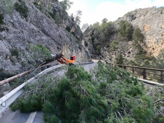El fuerte viento causa más de 1.000 incidentes el fin de semana en la Región:  Murcia y Cartagena, las más afectadas