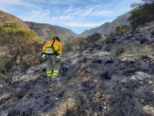 Extinguido el incendio forestal de Cabo Tiñoso tras arrasar cerca de 100 hectáreas