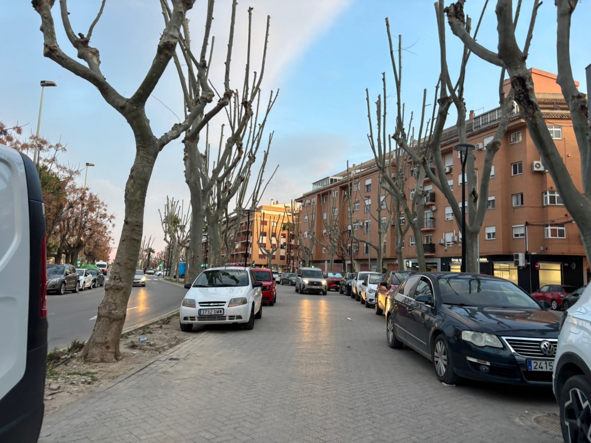 Vehículos estacionados encima de la acera en Sedaví.
