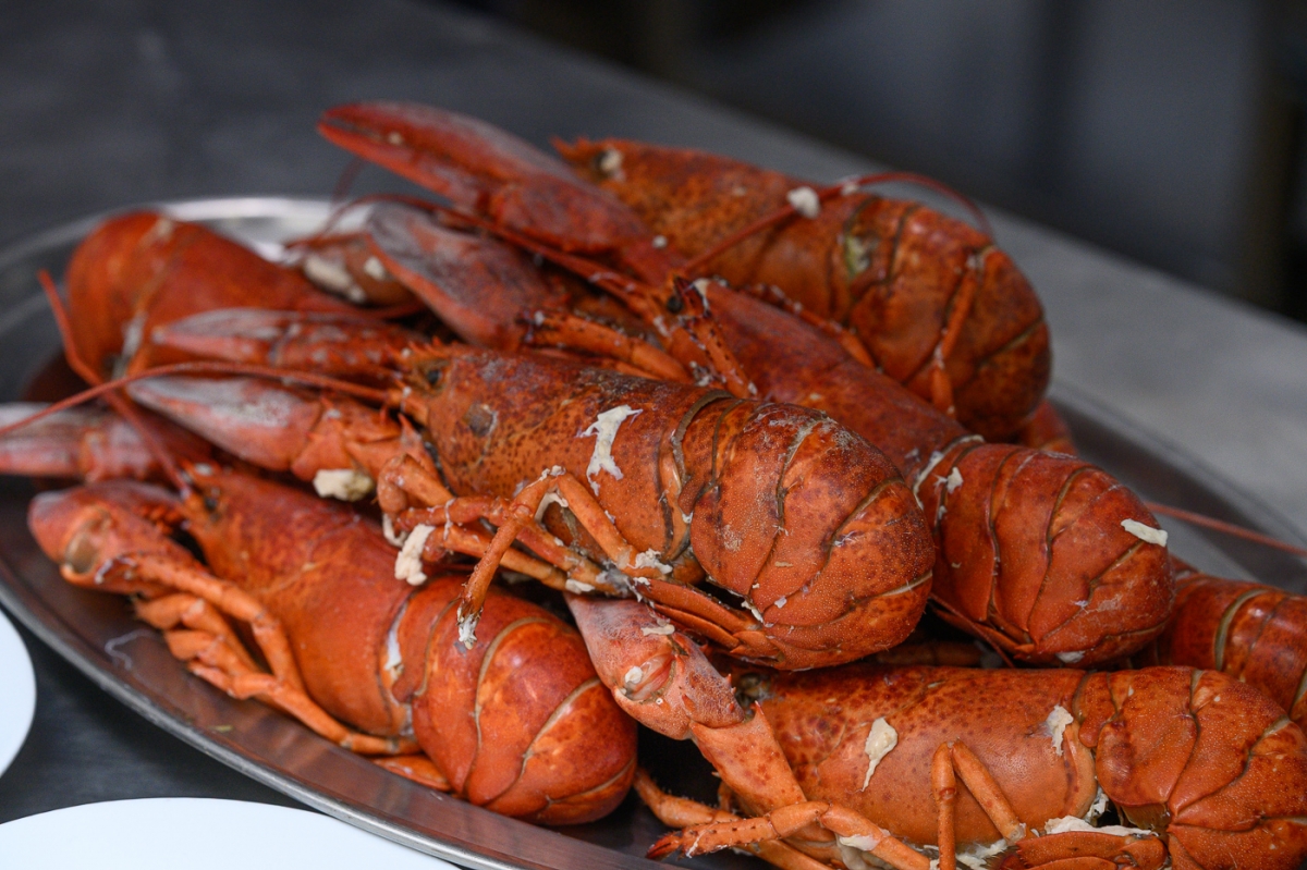  - Fotos: Kike Taberner 