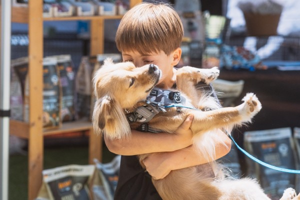 Canet d'en Berenguer licita el servicio de recogida y atención 24 horas para animales de compañía