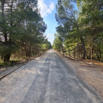 Cinco rutas sobre ruedas para descubrir los paisajes de la Región de Murcia por sus caminos naturales