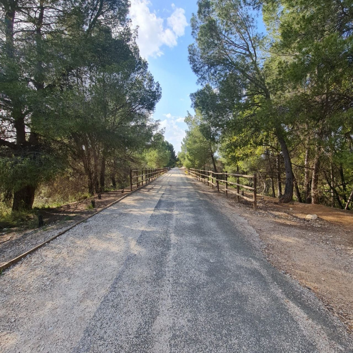 Cinco rutas sobre ruedas para descubrir los paisajes de la Región de Murcia por sus caminos naturales