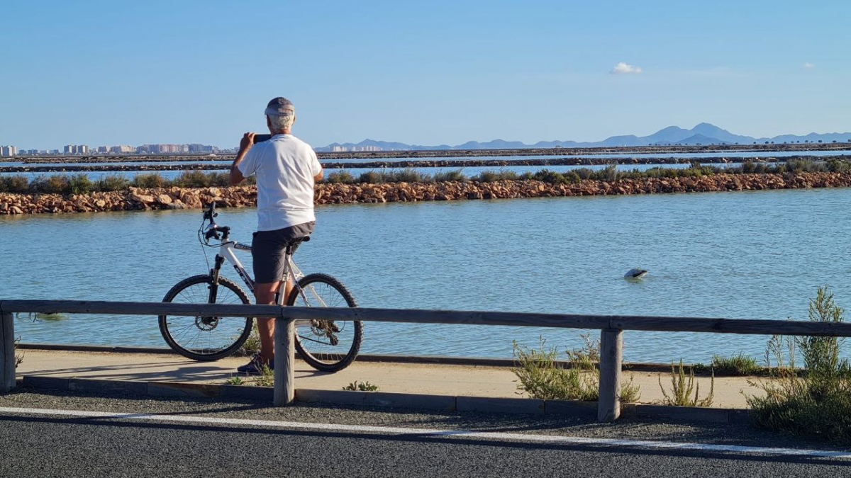 Salinas y arenales de San Pedro del Pinatar