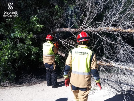 Los bomberos atienden en Castellón cinco incidencias relacionadas con las rachas de viento