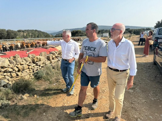 La Conselleria de Agricultura aporta agua a 23 pueblos de Castellón para la supervivencia de reses
