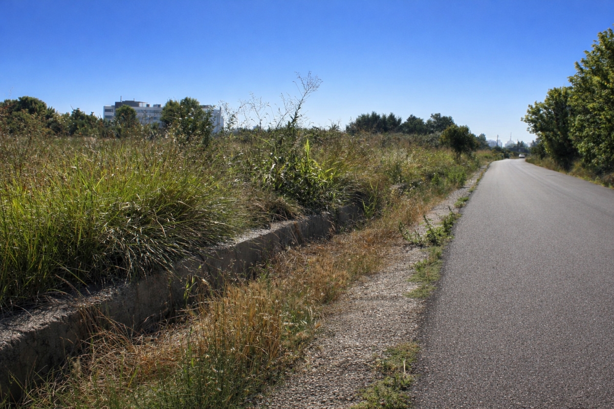 Tres años y 270.000 euros: Castelló licita la limpieza y el vallado de parcelas privadas sin mantenimiento