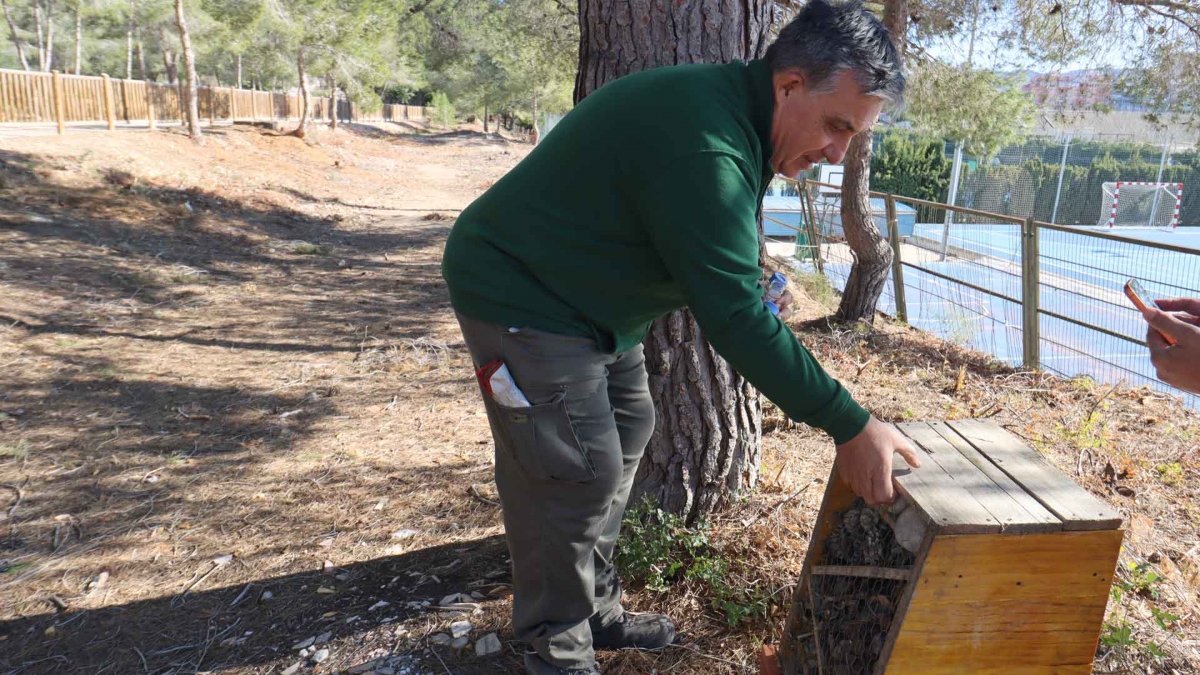 El parque de El Moralet de Benidorm suma cerca de 2.500 nuevos árboles en lo que va de año