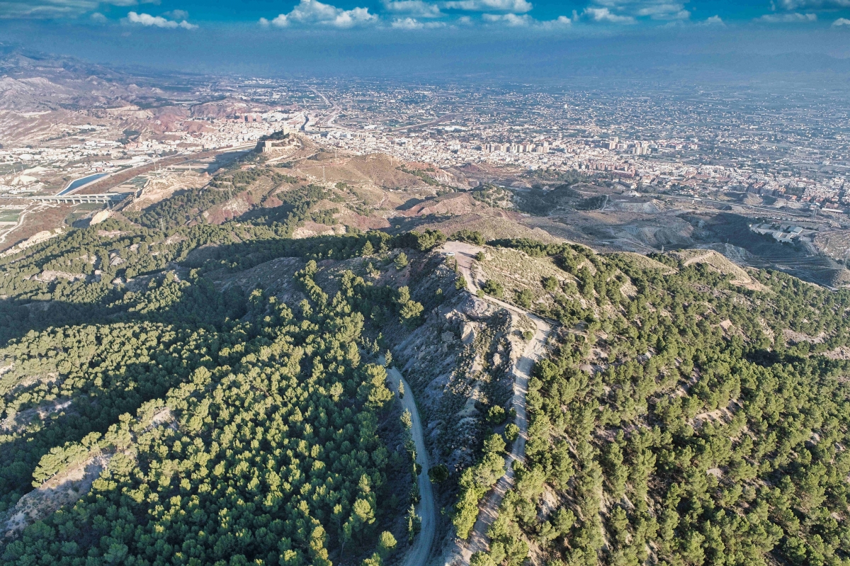 FCC y Elecnor recibirán cerca de 1,6 millones para recuperar los montes de Murcia y Lorca