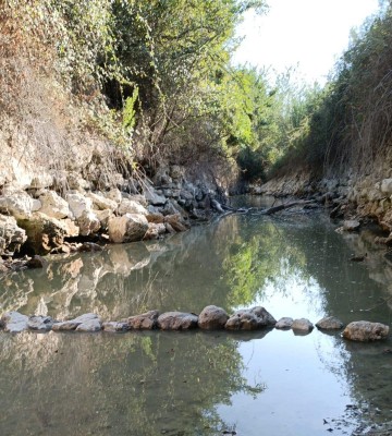 L'Alcúdia de Crespins vierte 20.000 litros de agua en el cauce del río para preservar la fauna autóctona