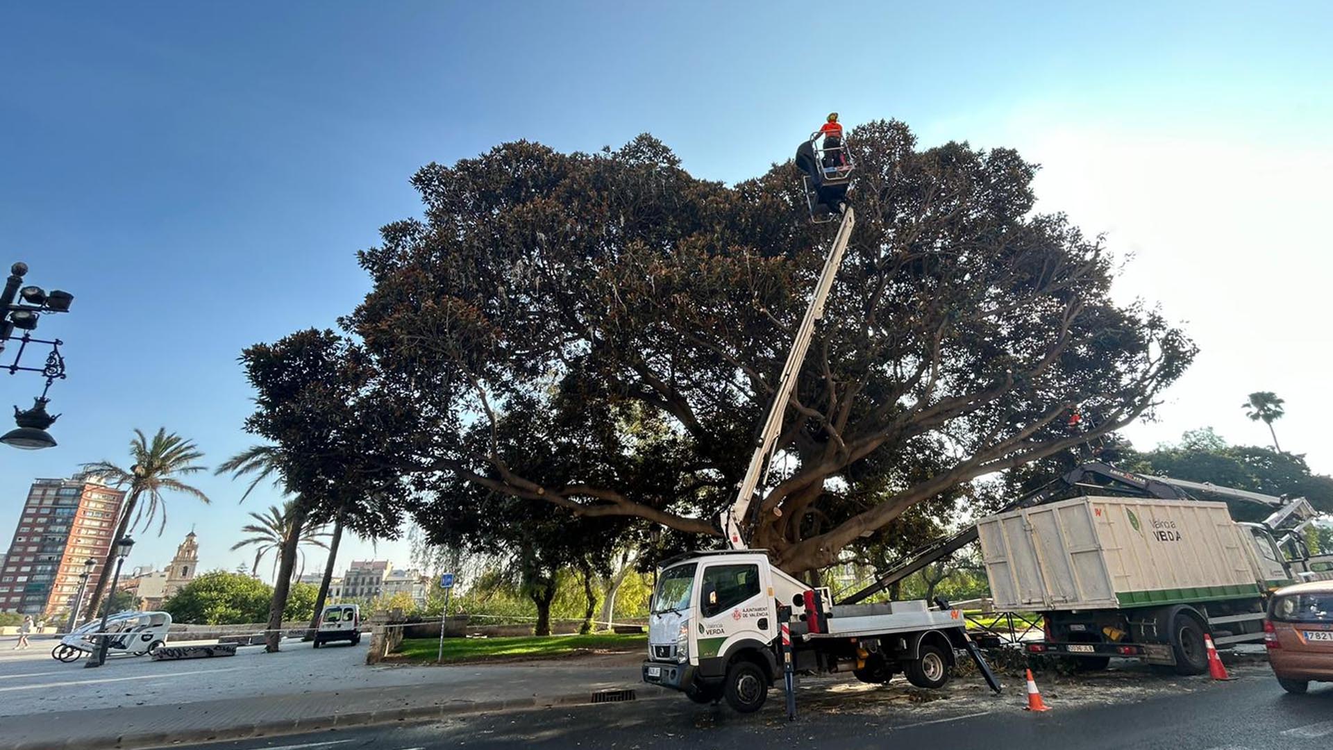 Foto: AYUNTAMIENTO DE VALENCIA - 