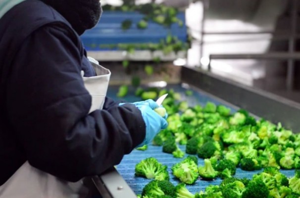 La abaranera La Senda Foods, con 12 millones en ventas, entra en concurso voluntario e inicia su liquidación