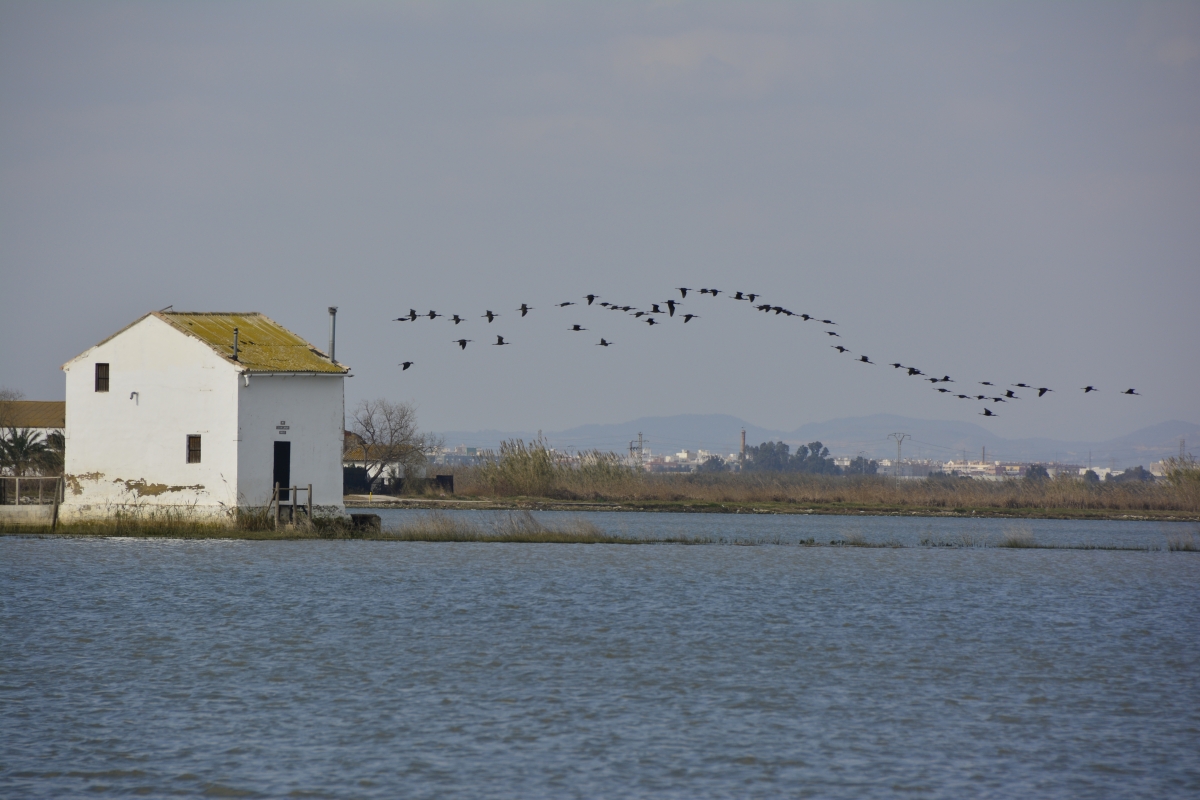 - Foto: CONSELLERÍA MEDIO AMBIENTE